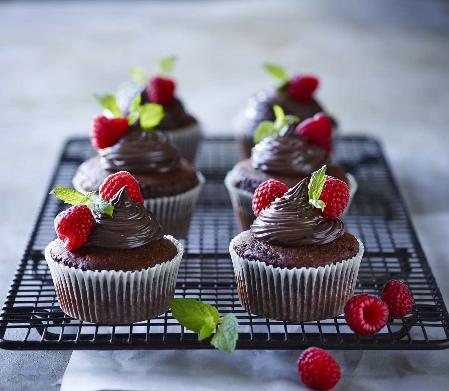 Lactosan Cheese Powder Solutions For Chocolate Muffin