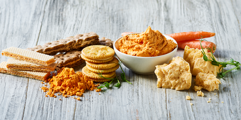 lactosan-cheese-powders-for-biscuits.png