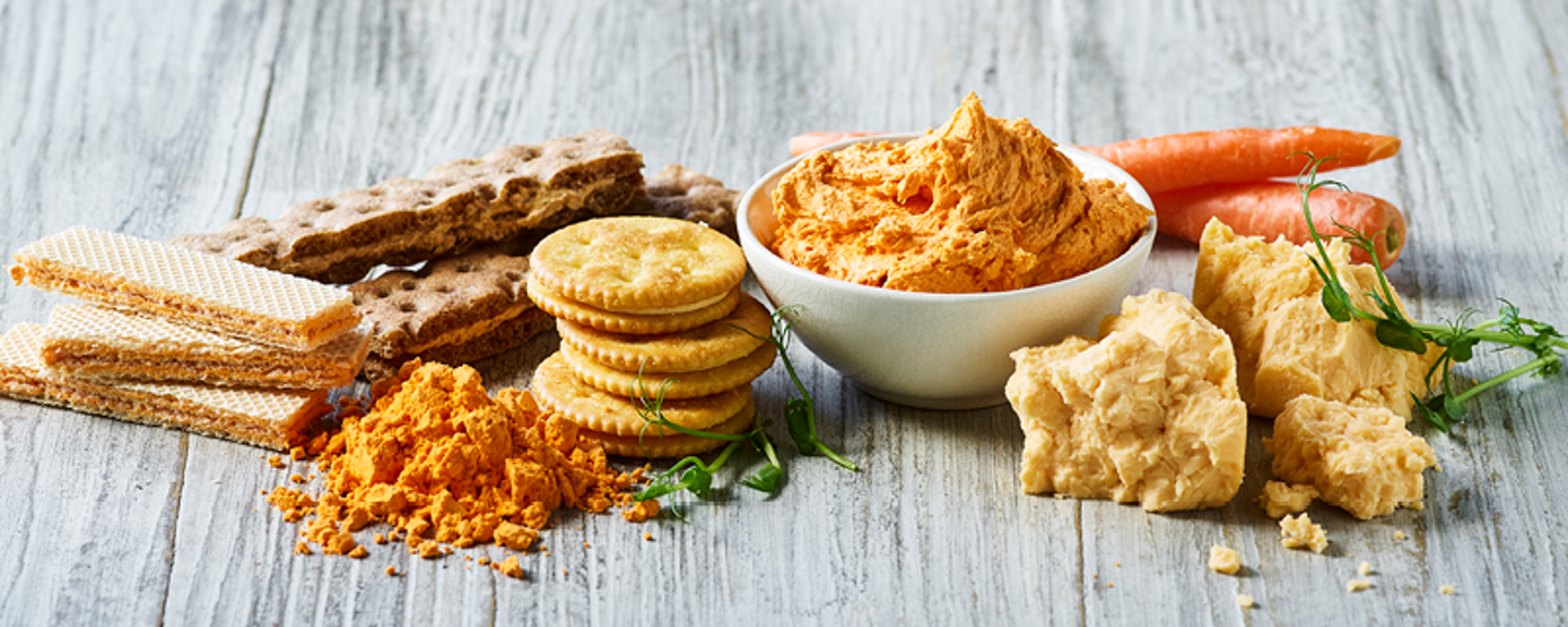 lactosan-cheese-powders-for-biscuits.png