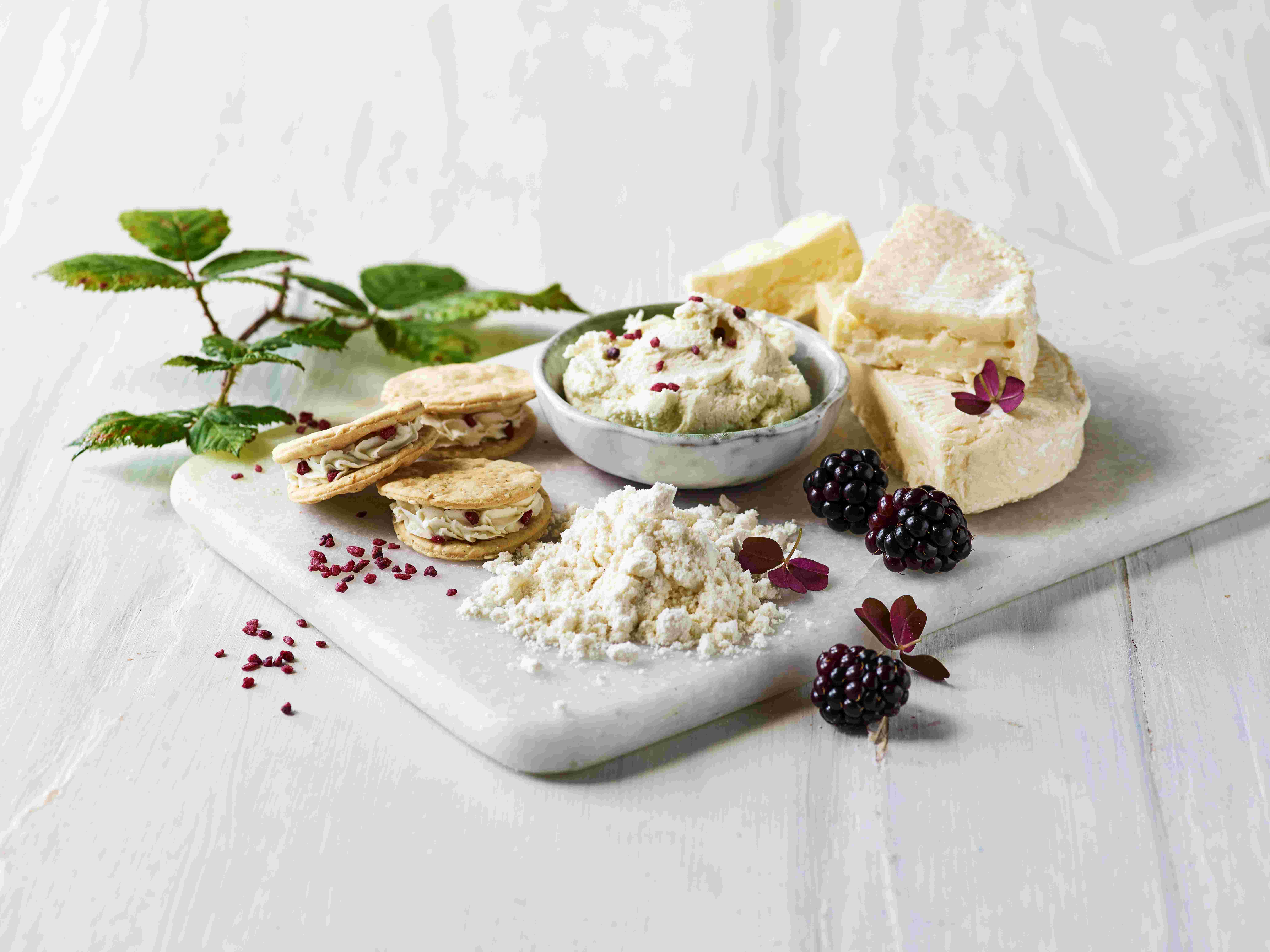 Lactosan Camembert Powder And Black Berry Filling