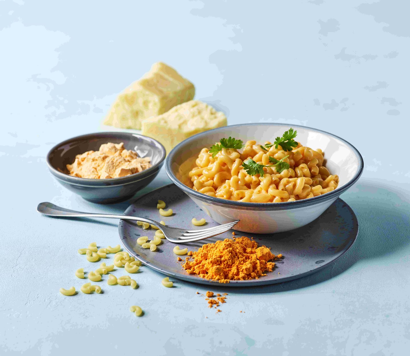 Lactosan Cheese Powder Solutions For Cheddar Seasonings And Macaroni And Cheese
