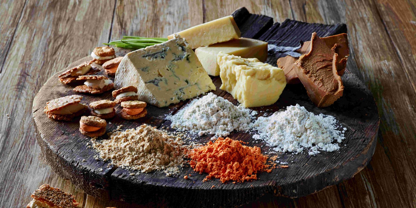 Lactosan Cheese Powders For Fillings Biscuits Cream Cheese Powder