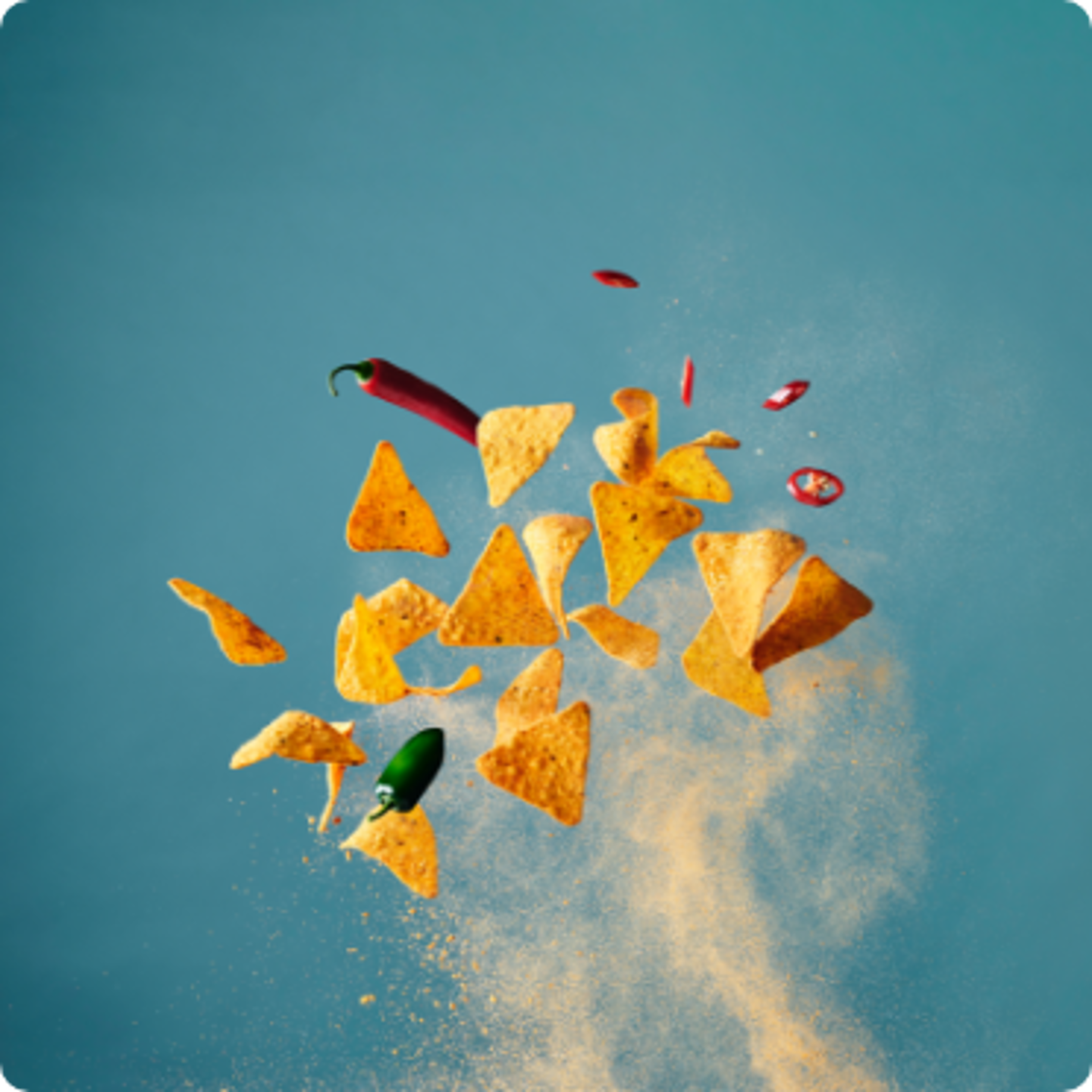 Lactosan Natural Culinary Booster - NCB - Tortilla Seasoning