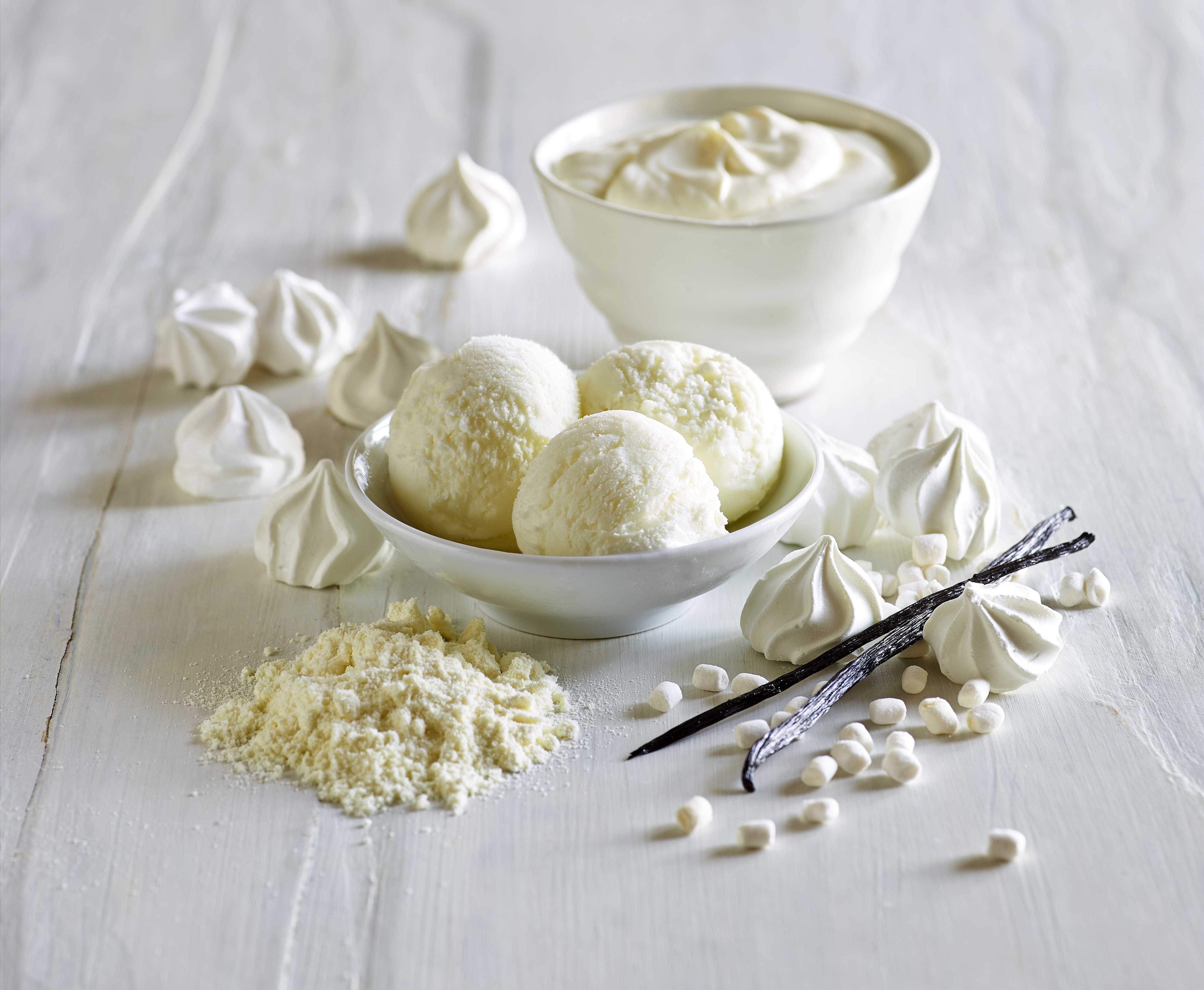 lactosan_ quark_cheesepowder_icecream_lowv2.jpg