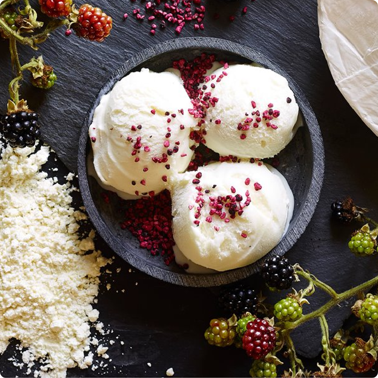 Lactosan Camembert Cheese Powder for Ice Cream