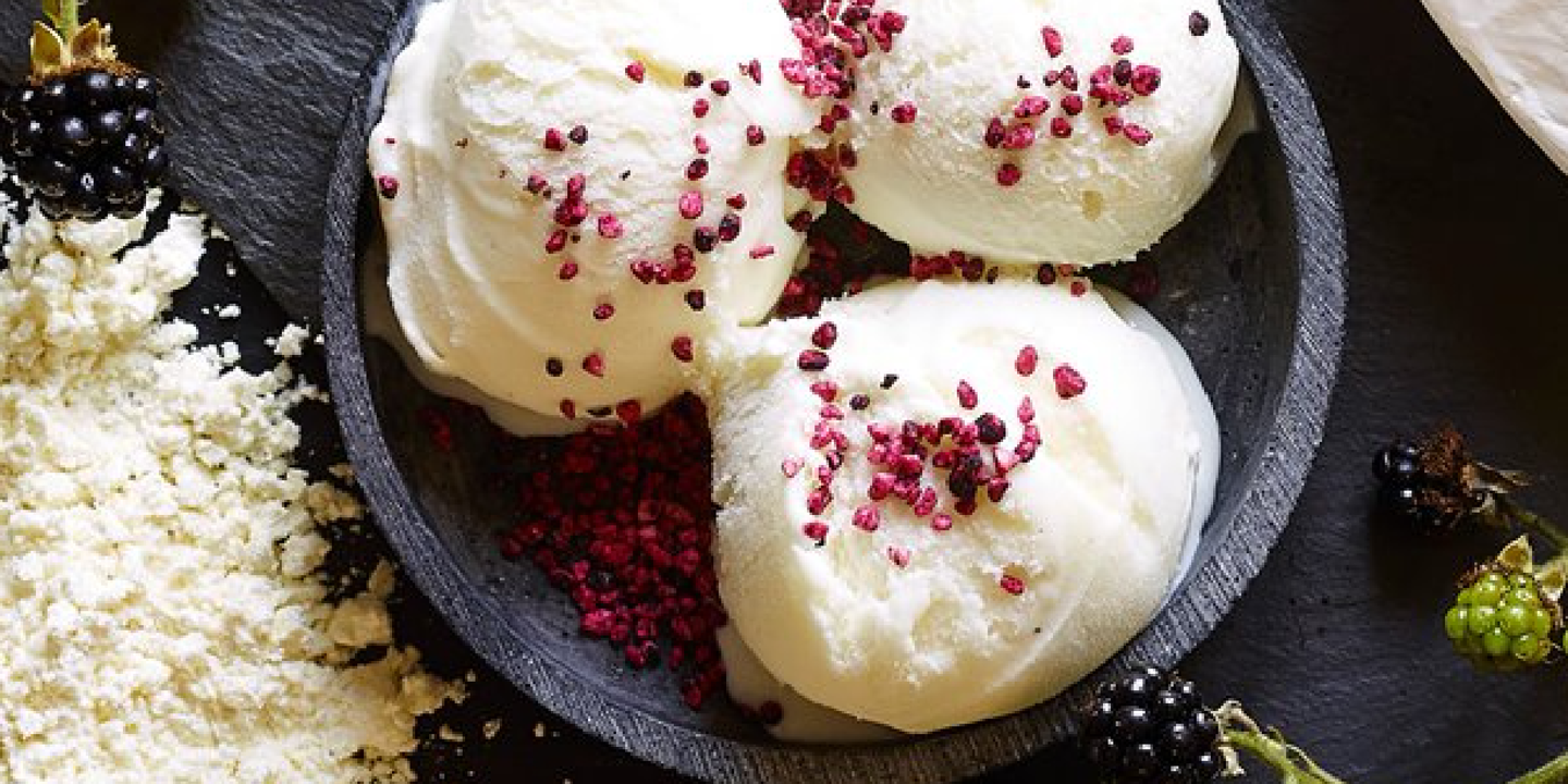 Lactosan Camembert Cheese Powder for Ice Cream