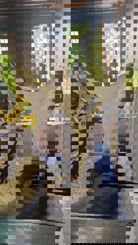 2024 Kiteto Dairy Cooperative - mozzarella in the making.jpeg