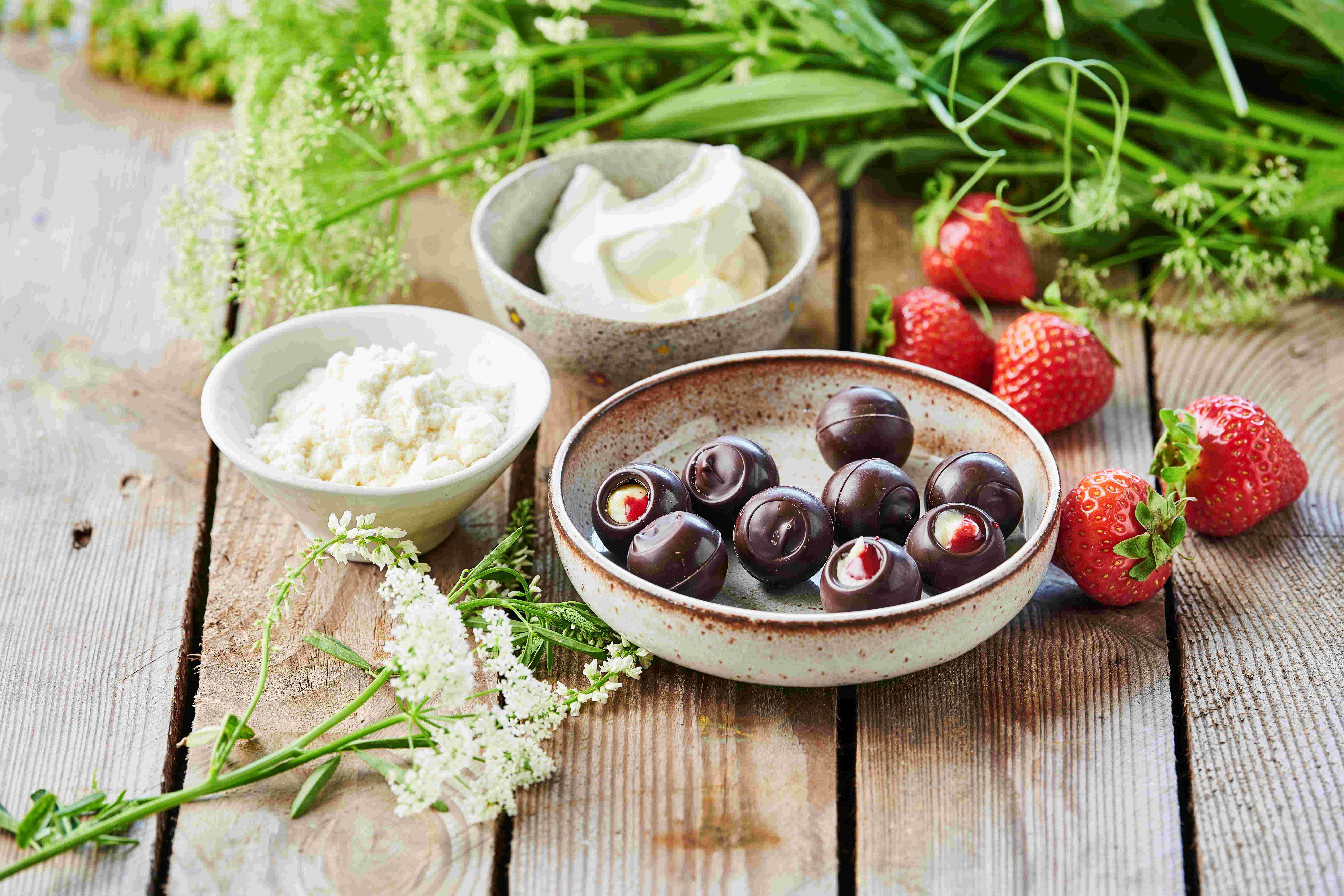 Lactosan Cheese Powder Confectionery Chocolate Rodgrod Med Flode 183204 Wide