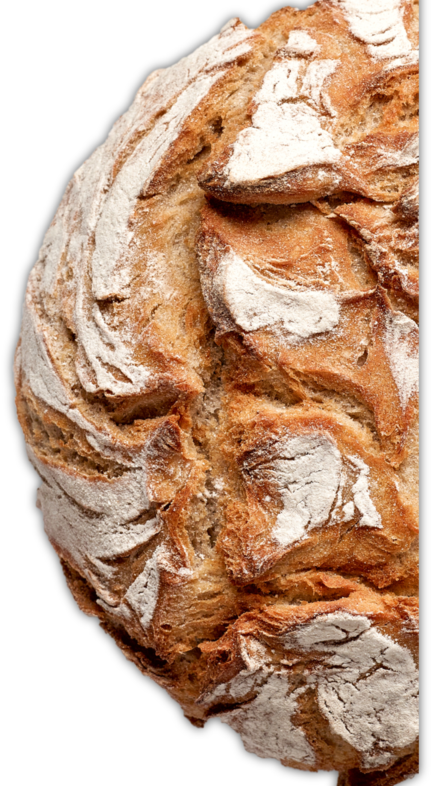 Want taste & convenience?