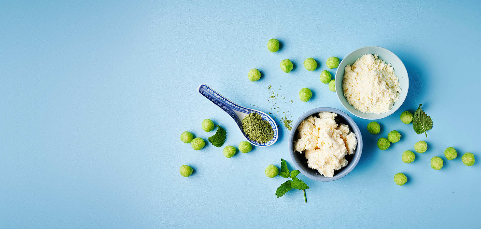 Lactosan Cheese Powder Solutions Matcha Concept Green