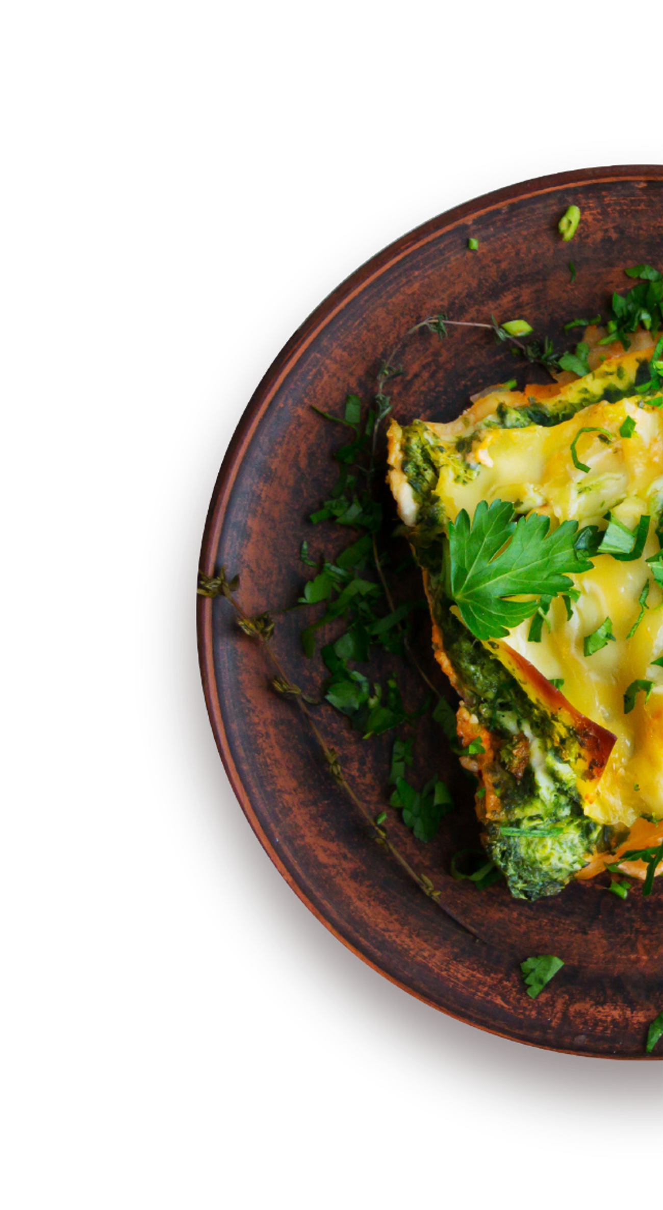 Ready Meals with Lactosan Cheese Powders