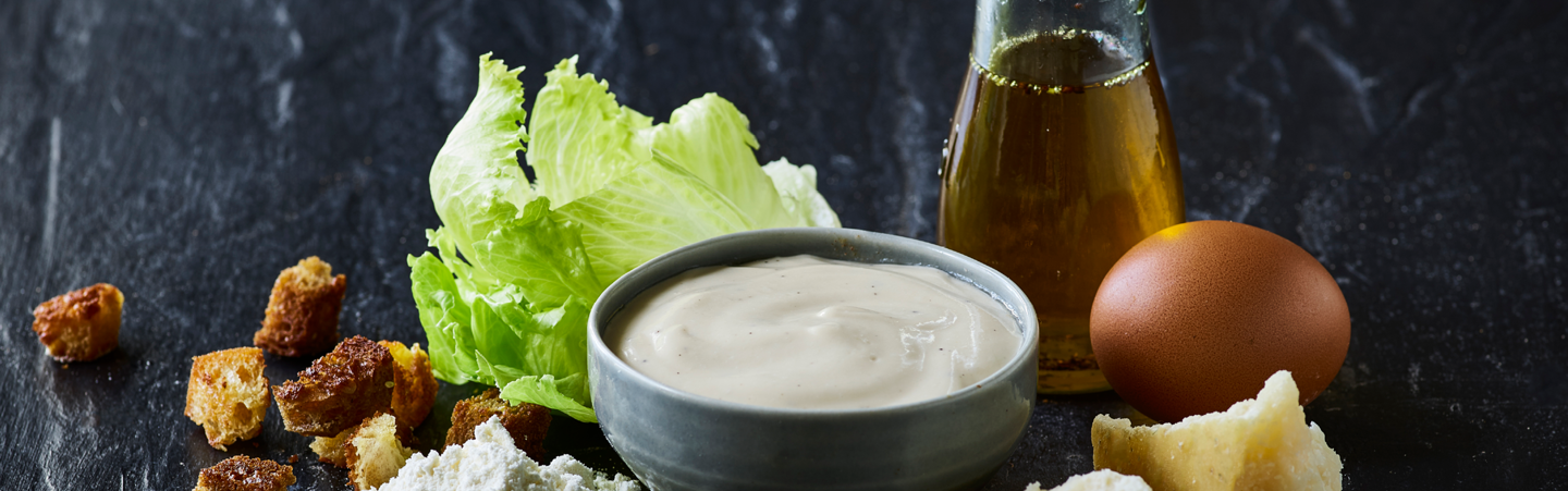 Lactosan Cheese Powder for Ceasar Salad Dressings