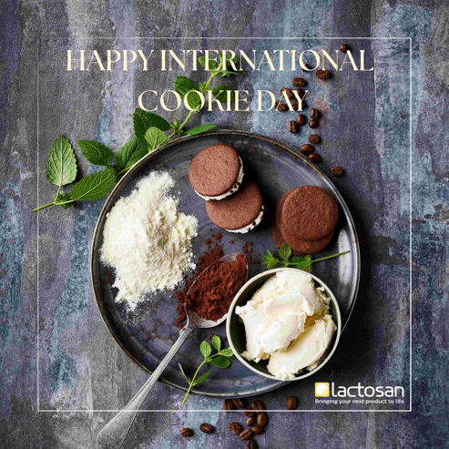 Lactosan Cheese Powder for Cakes and Cookies.png (1)