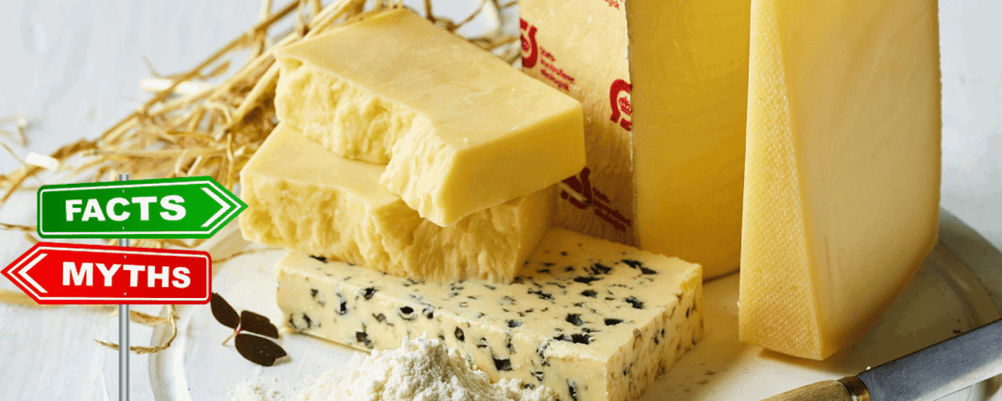 Lactosan Cheese Powder Solutions - Mythbusting.png
