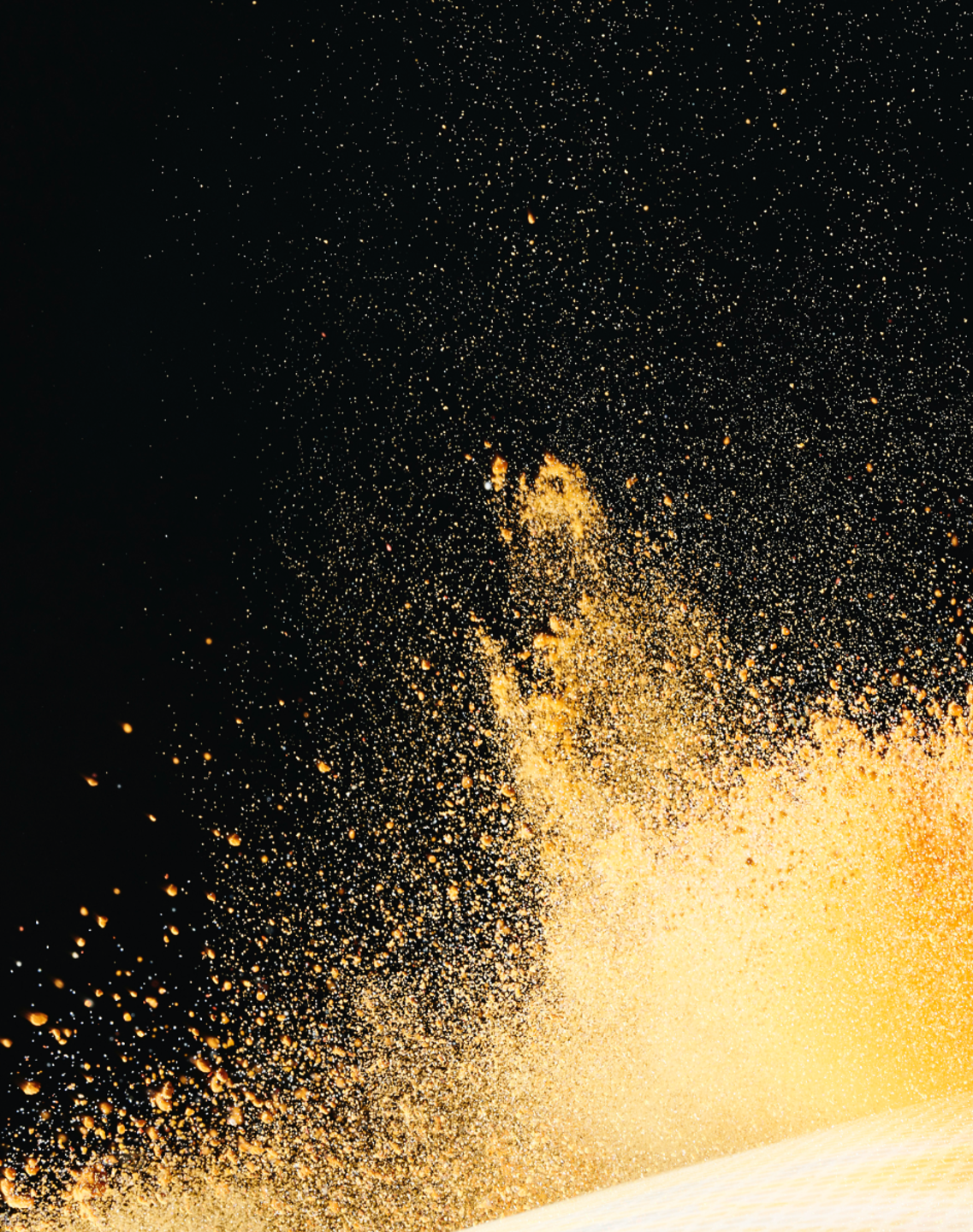 Lactosan Natural Culinary Booster - NCB yellow boost 2