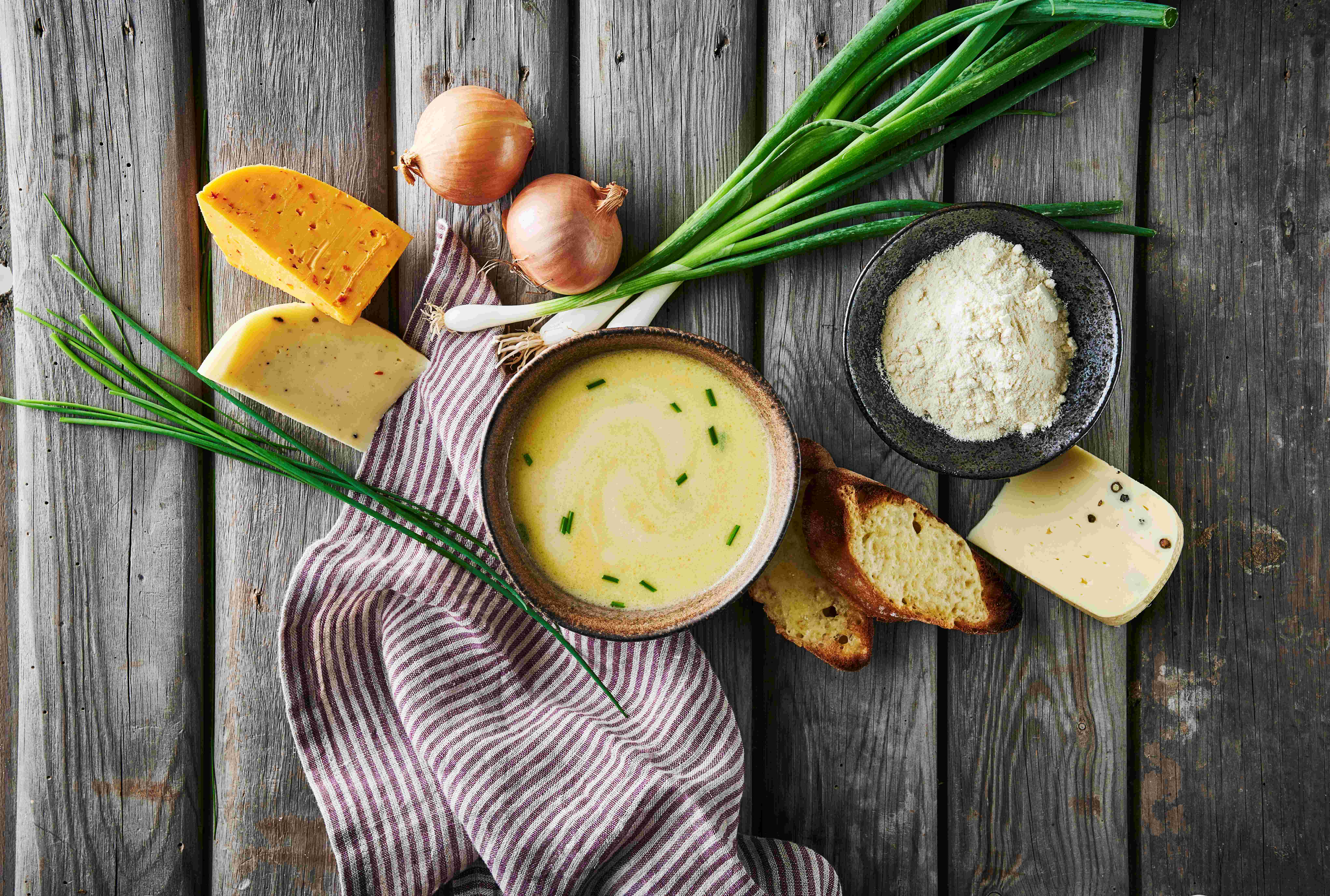 Lactosan Cheese Powder Solutions For Soups Onion Soup