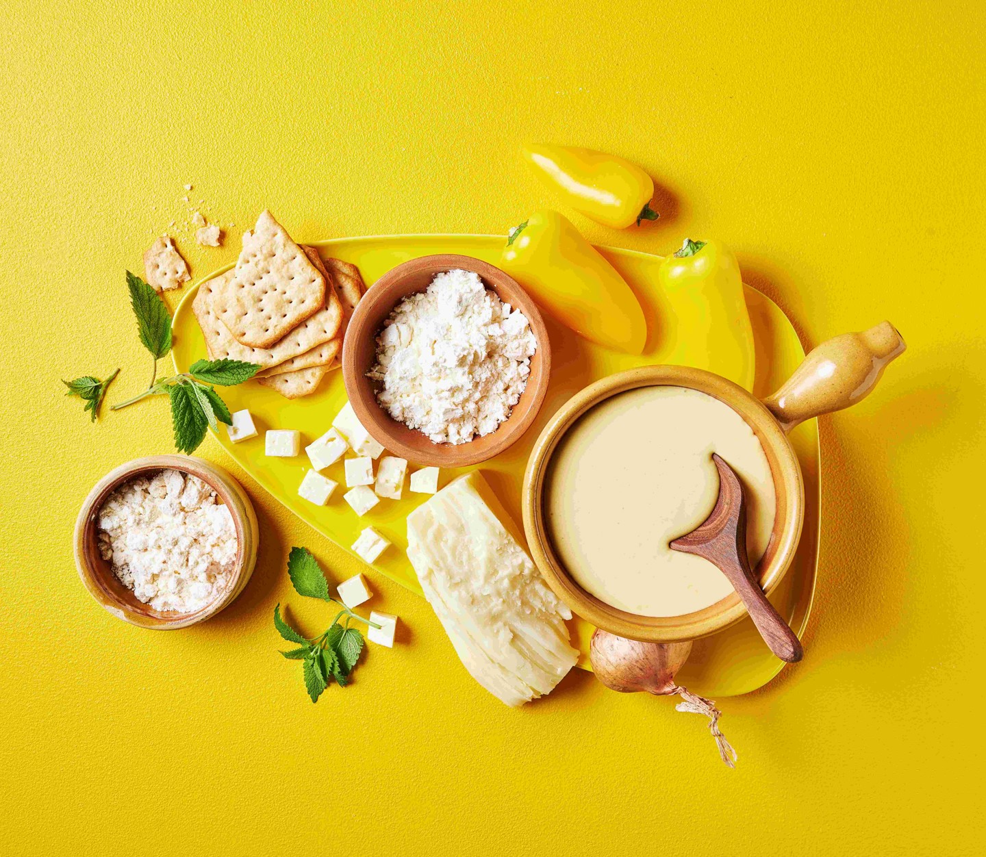 Lactosan Cheese Powder Salsa Huancaina Dip