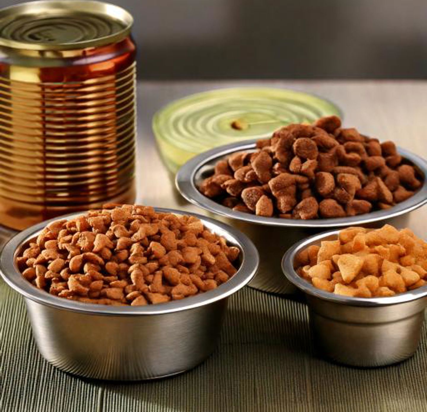 Firefly Dry Petfood In Bowls, Wet Petfood In Can On Table 57587