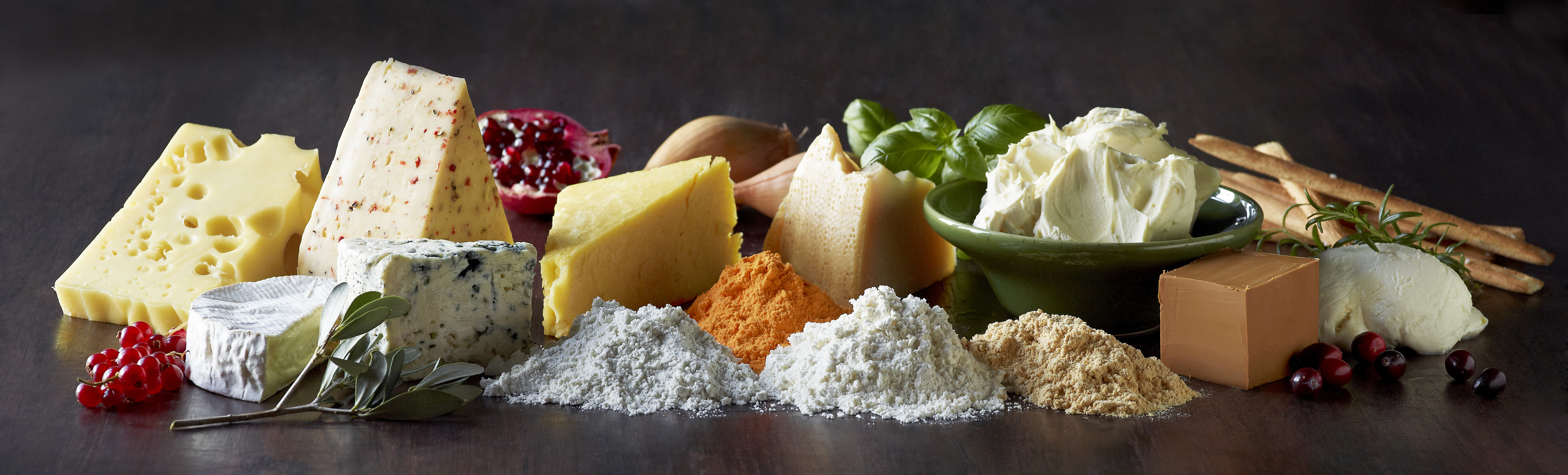 Lactosan Cheese Powders based on natural cheeses