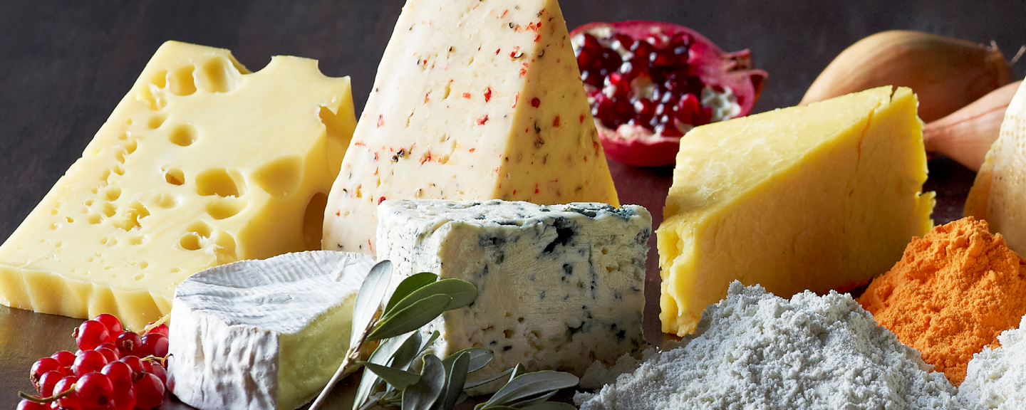 Lactosan Cheese Powders - For all Taste & Cuisines