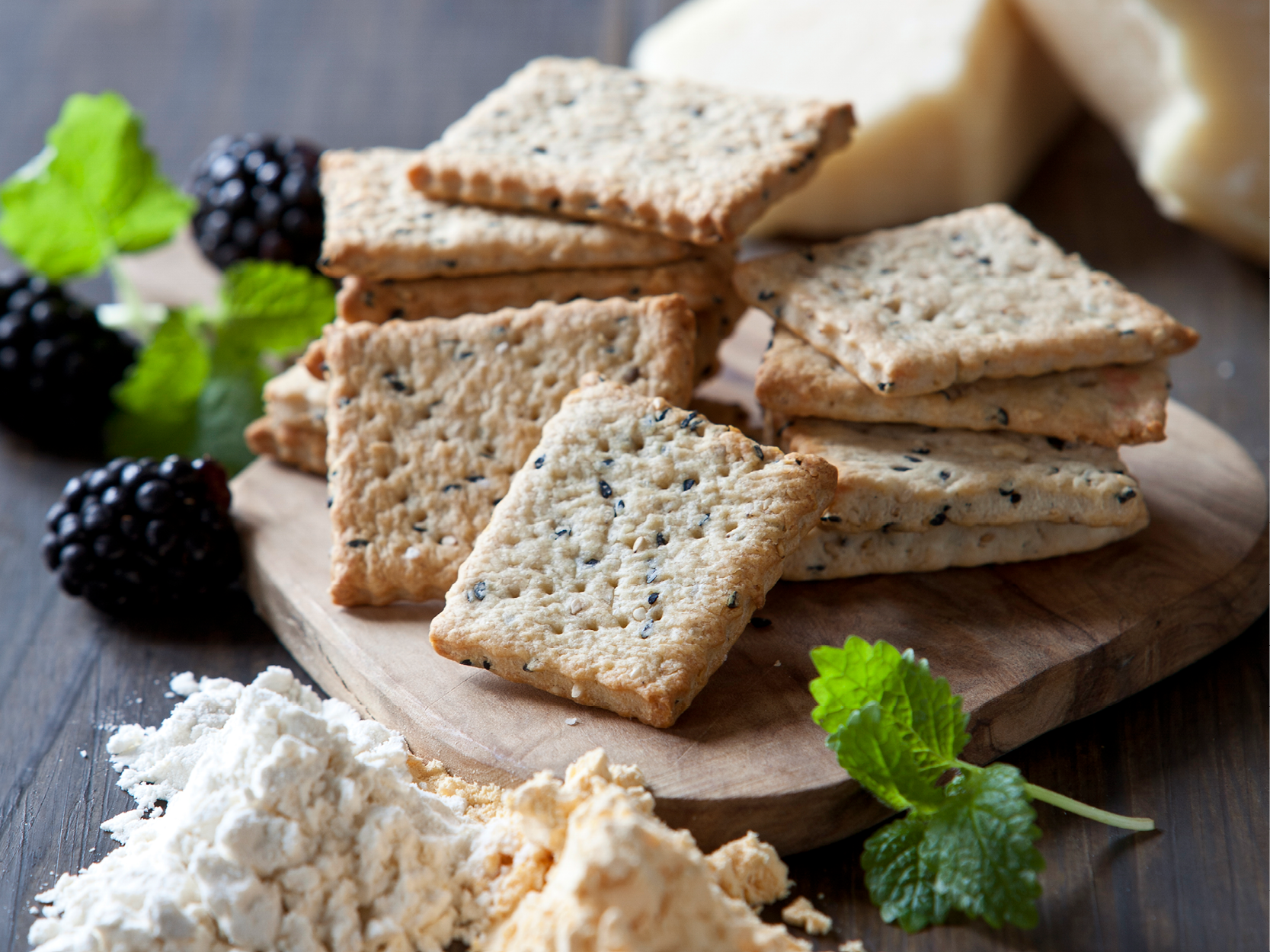 Lactosan Cheese Powders for Biscuits & Snack products