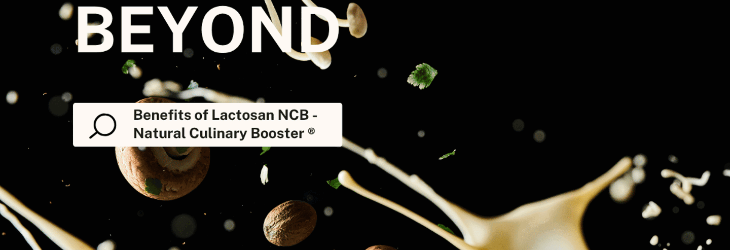 2026 Lactosan Cheese Powder Solutions for Sauce trends 3.png