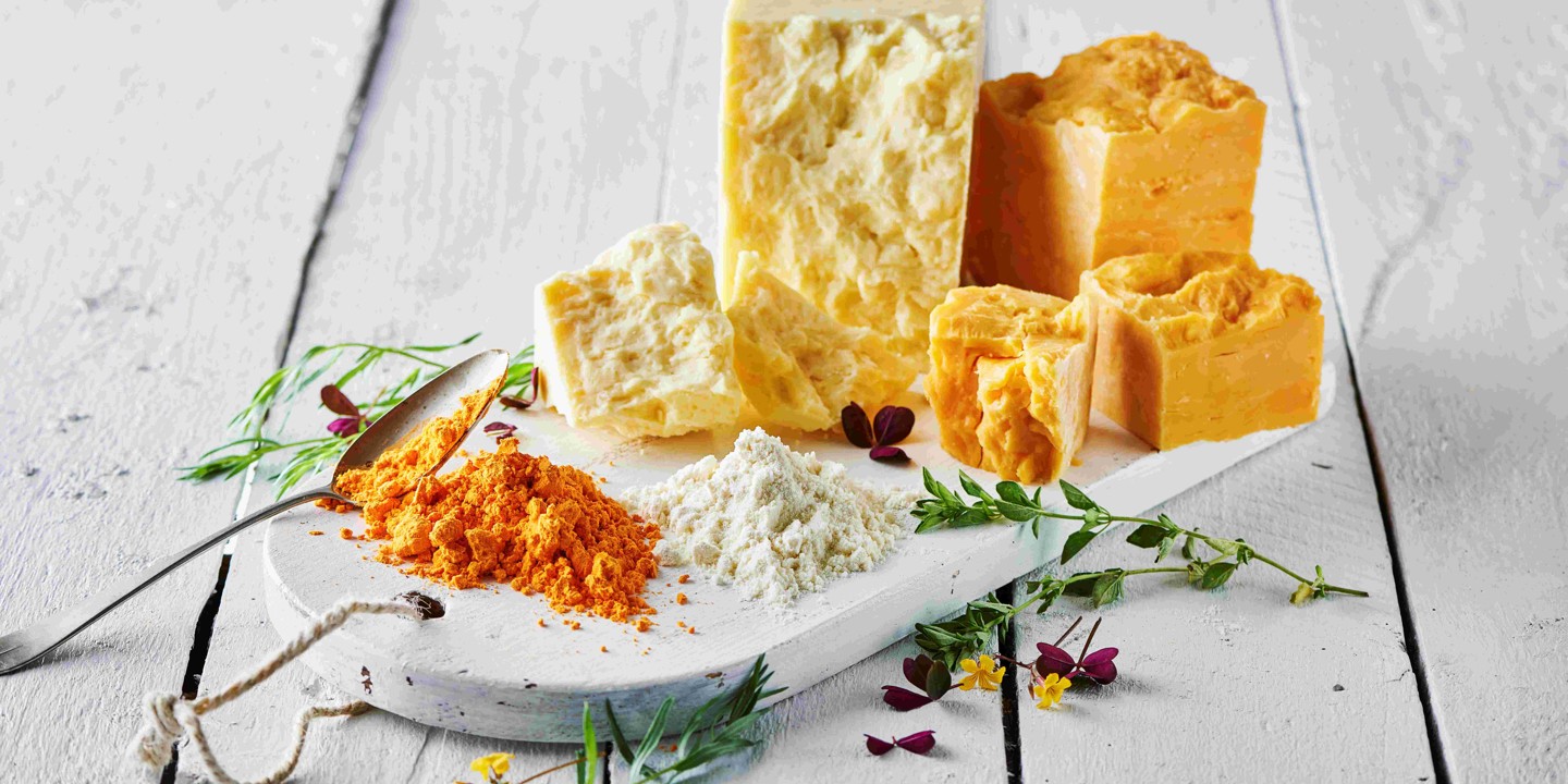 Lactosan Cheese Powder Solutions For Seasonings Cheddar Cheese Powders
